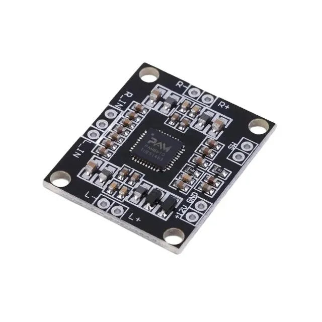 PAM8610 Module