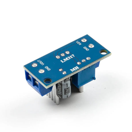 LM317 Module