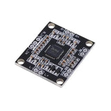 PAM8610 Module
