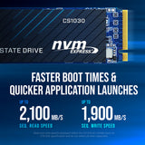PNY CS1030 (M280CS1030-250-RB) 250GB SSD, PCIe Gen3 x4 Interface,Max Read 2500MB/s, MaxWrite 1100MB/s, 5 Year Limited Warranty